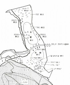 円山養樹園植栽図1
