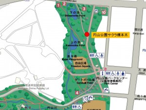 円山公園サクラ標本木位置図