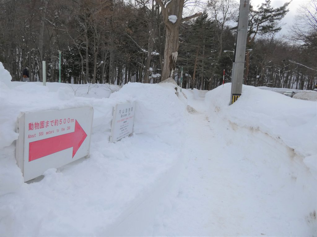 2022年2月26日円山公園から円山動物園への道順＜冬道編＞4