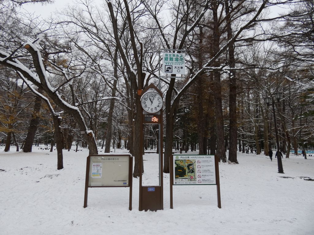 2022年12月3日円山公園の雪の様子