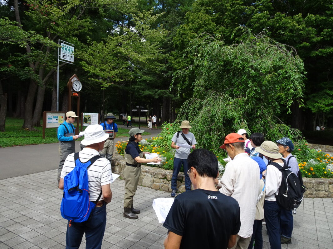 2023年9月2日円山公園探訪ツアー（水辺のいきもの編）1