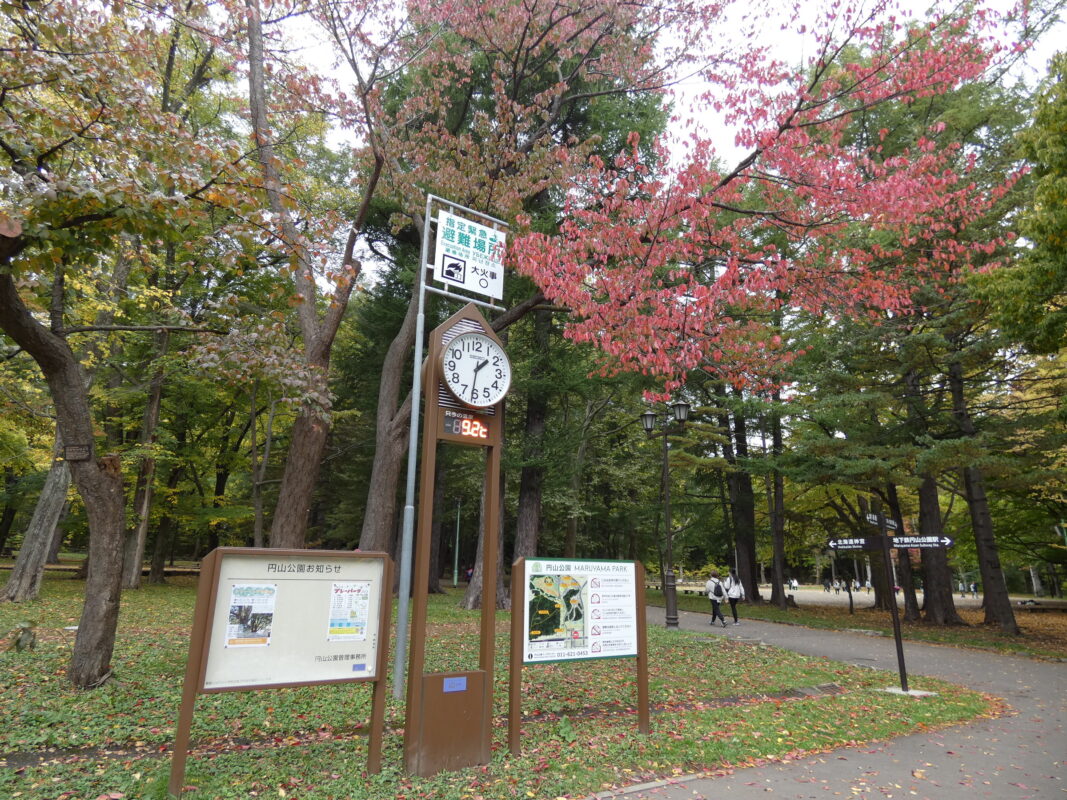 紅葉と落ち葉を楽しむ円山公園のイメージ