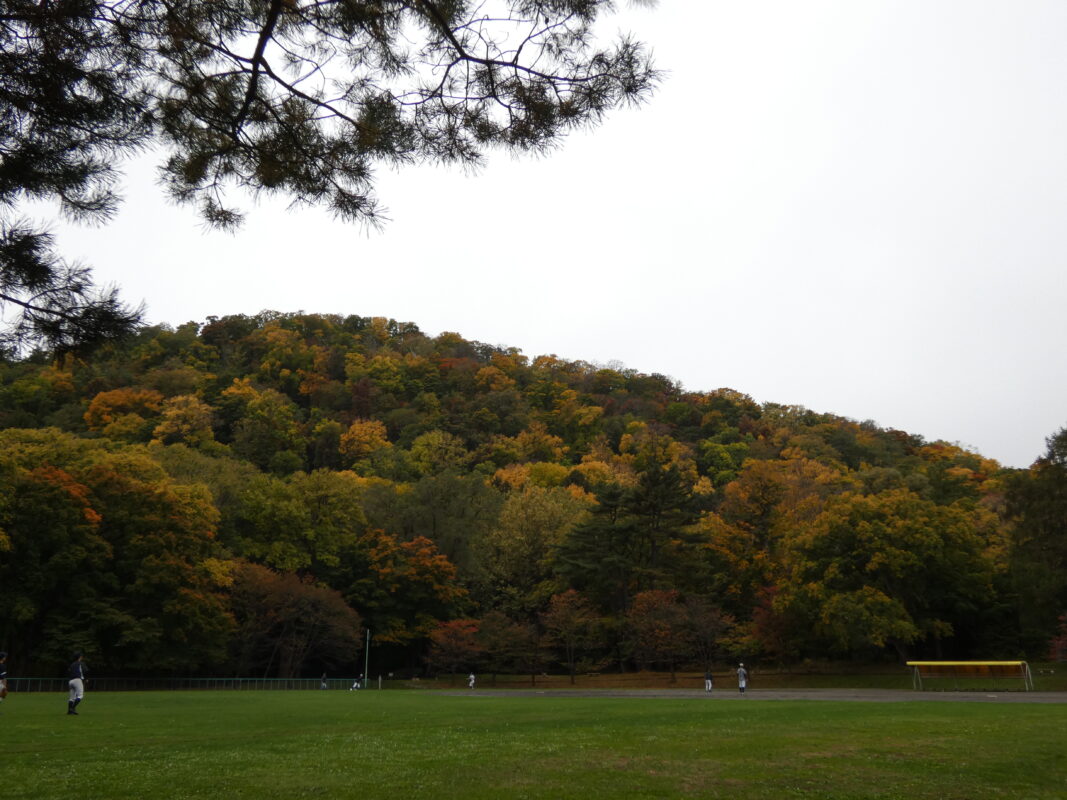 2023年10月21日紅葉と落ち葉を楽しむ円山公園8