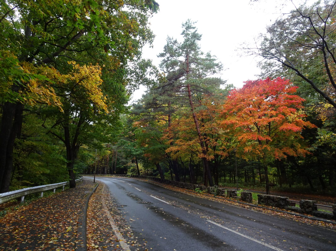 2024年10月19日紅葉状況3