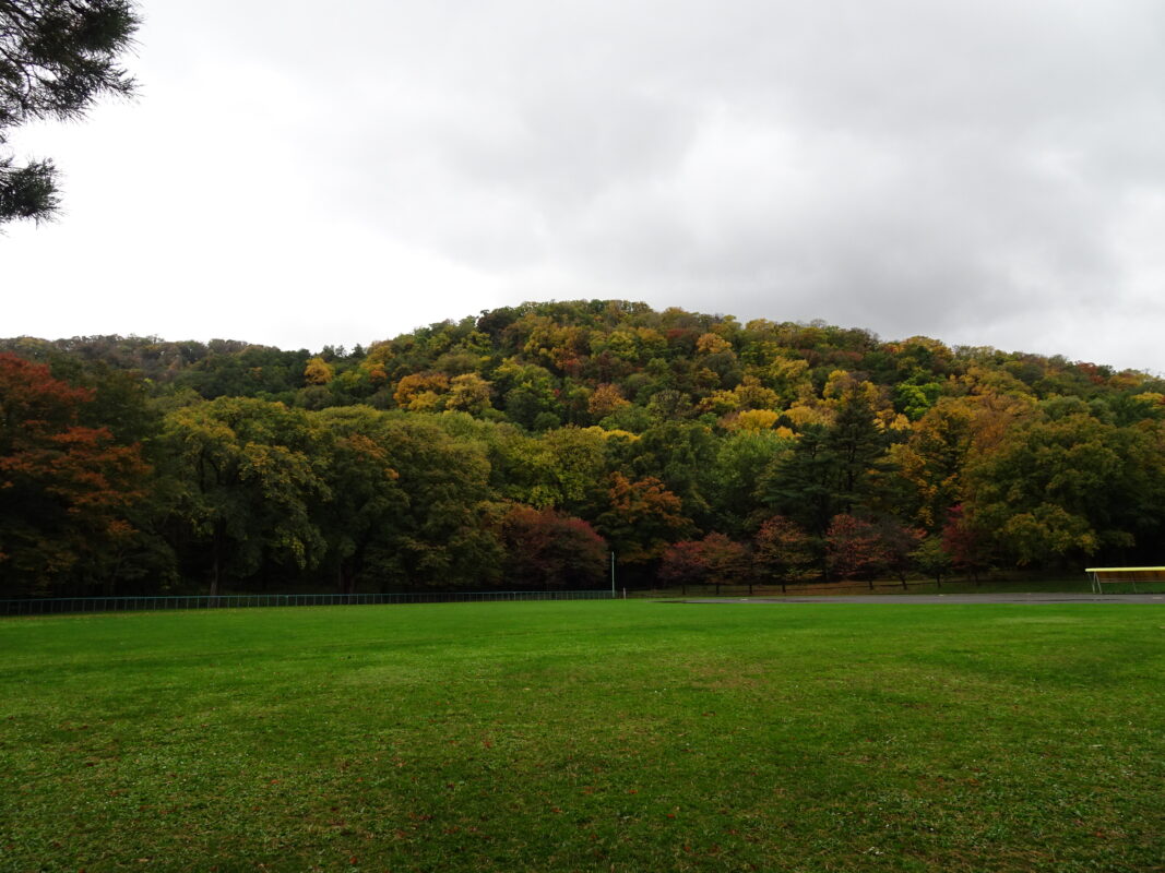 2024年10月19日紅葉状況5