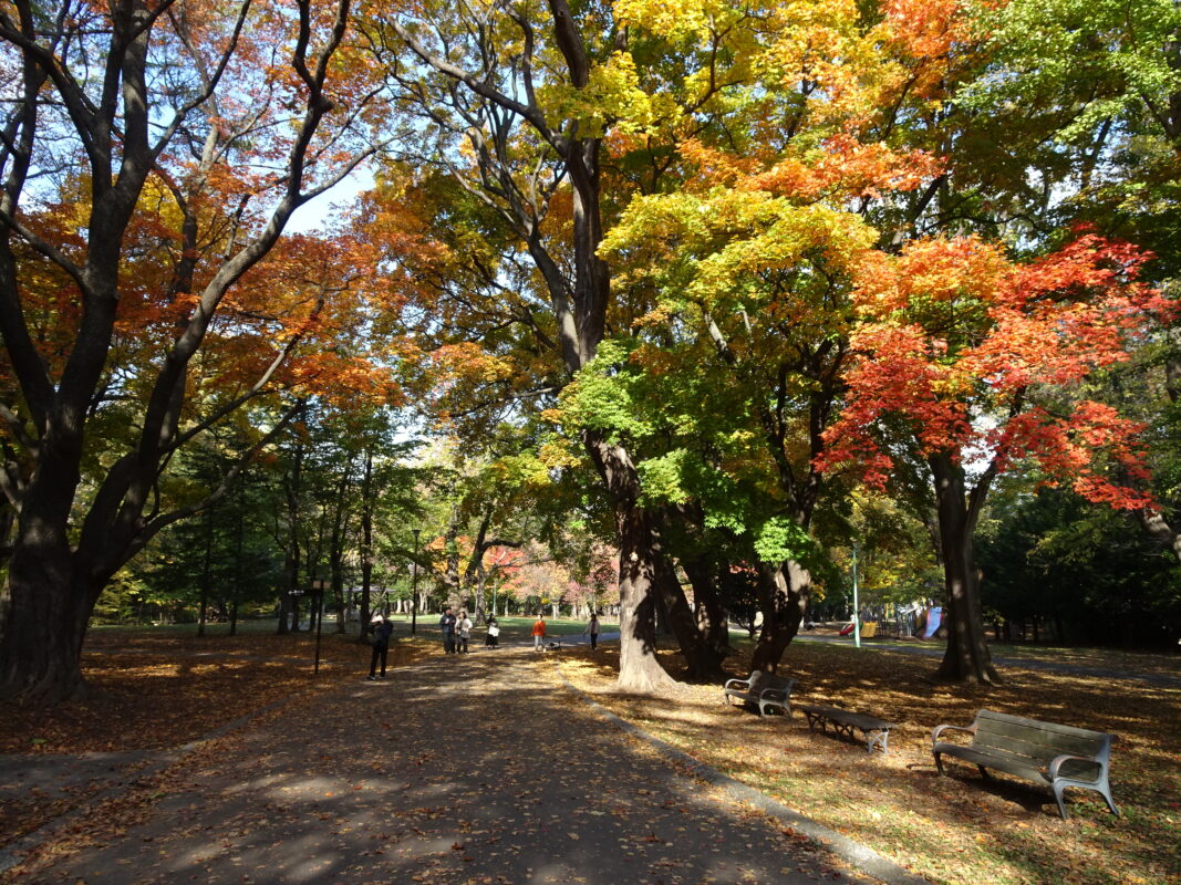 2024年10月26日紅葉状況2