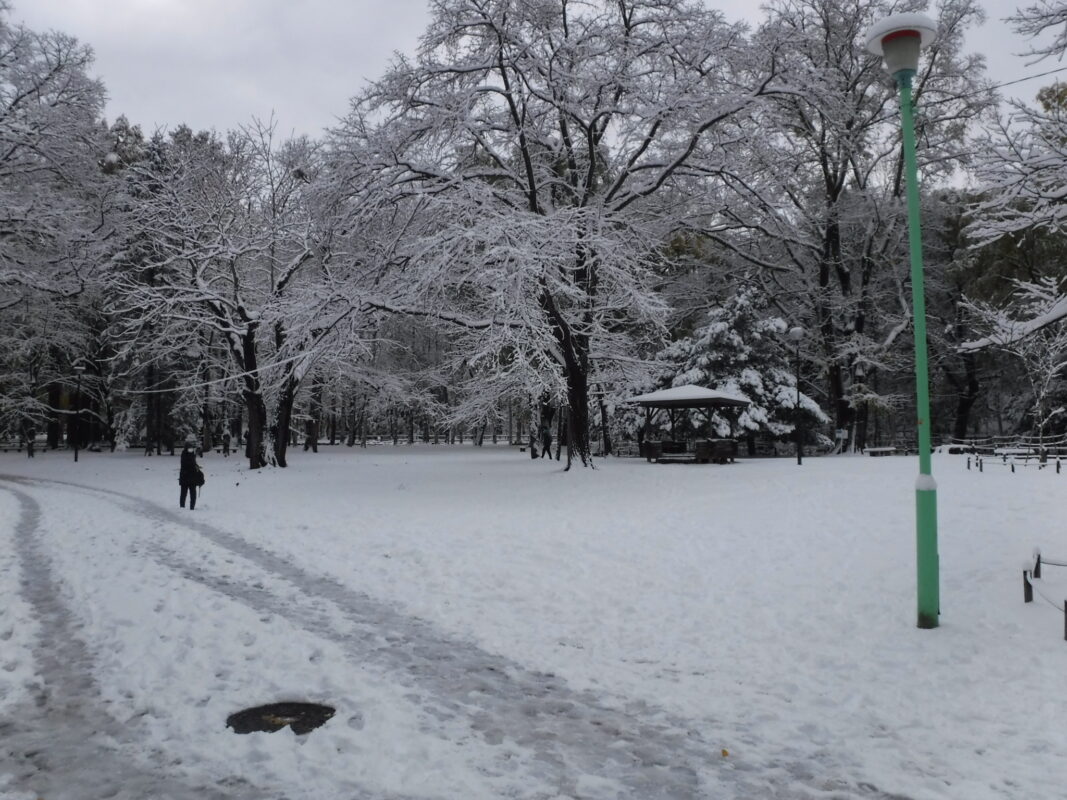 四阿周辺の様子
