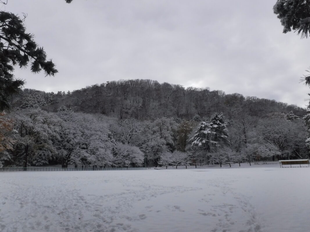 坂下野球場から円山
