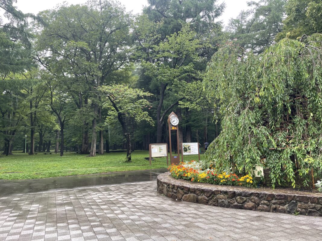 円山公園マルシェ中止のお知らせのイメージ