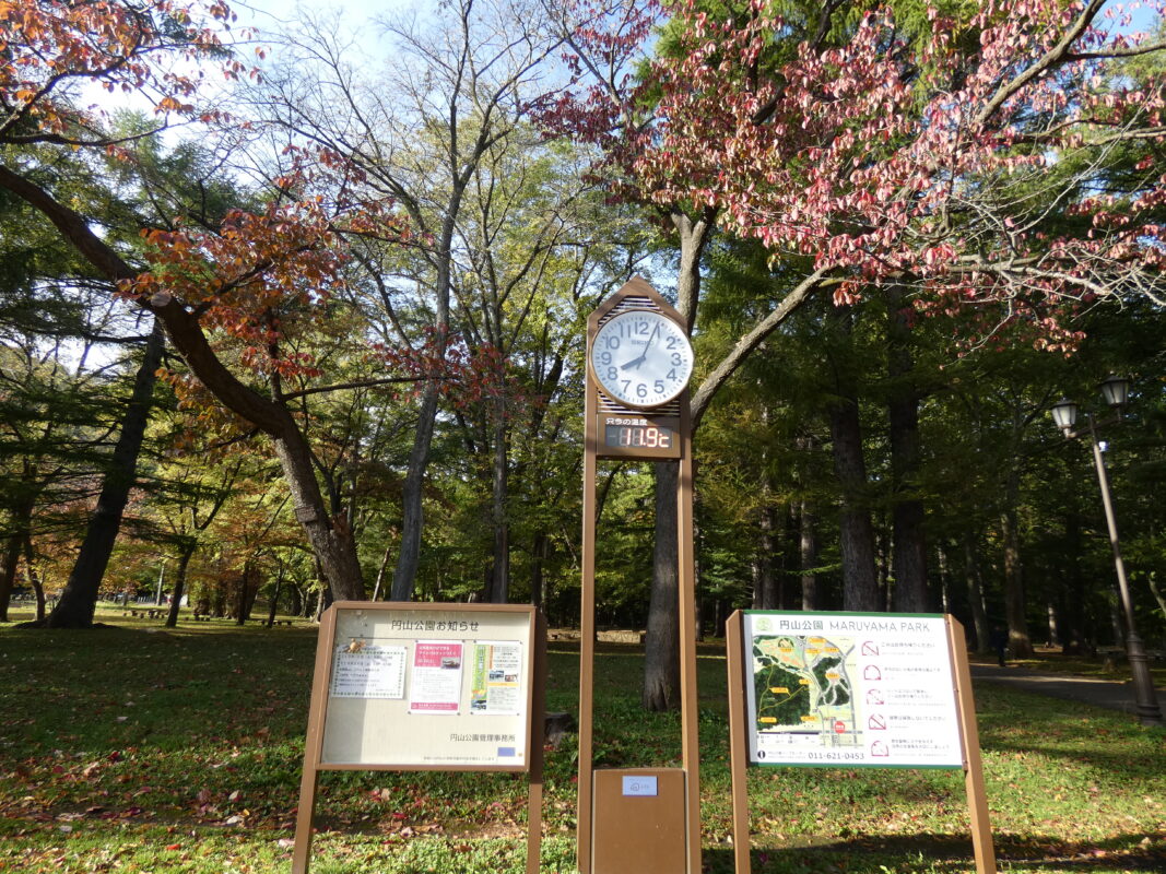 紅葉情報のイメージ